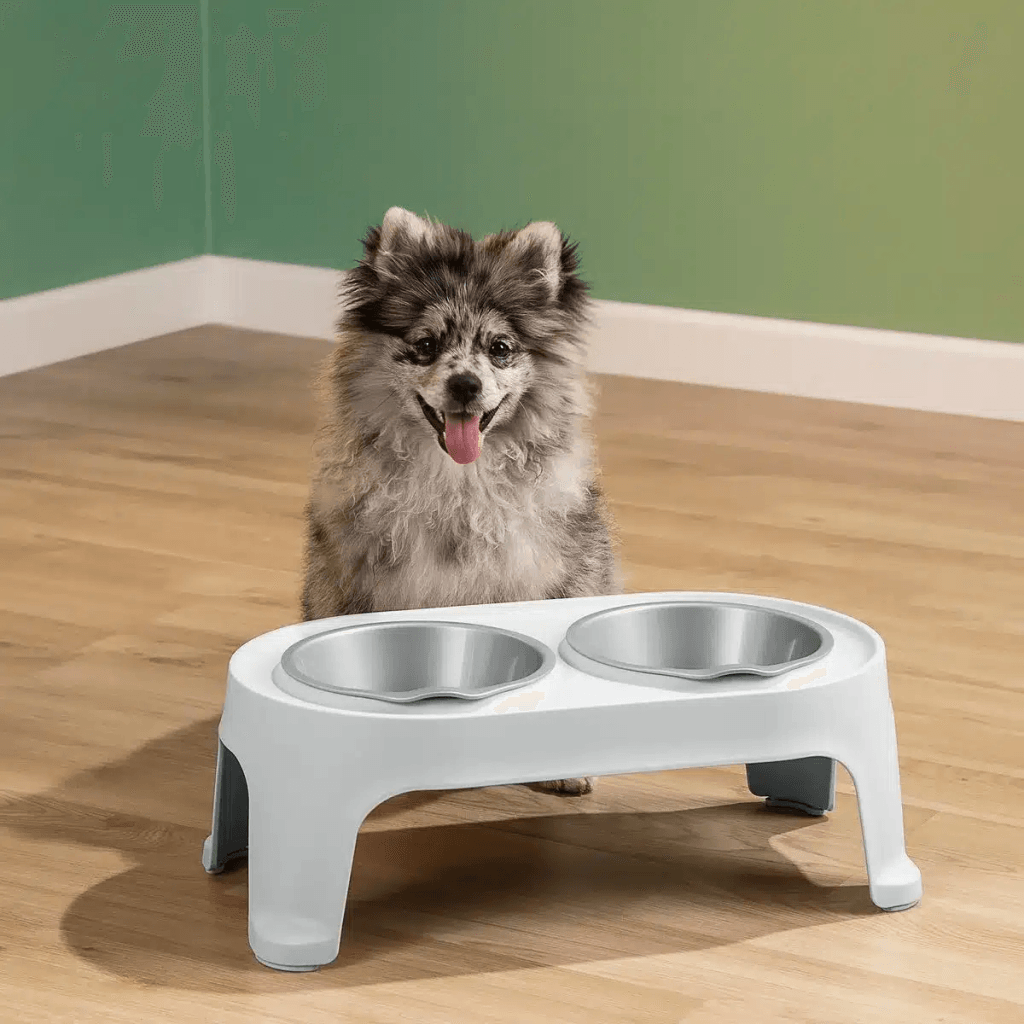 Comedero Alto para Perro Pequeño
