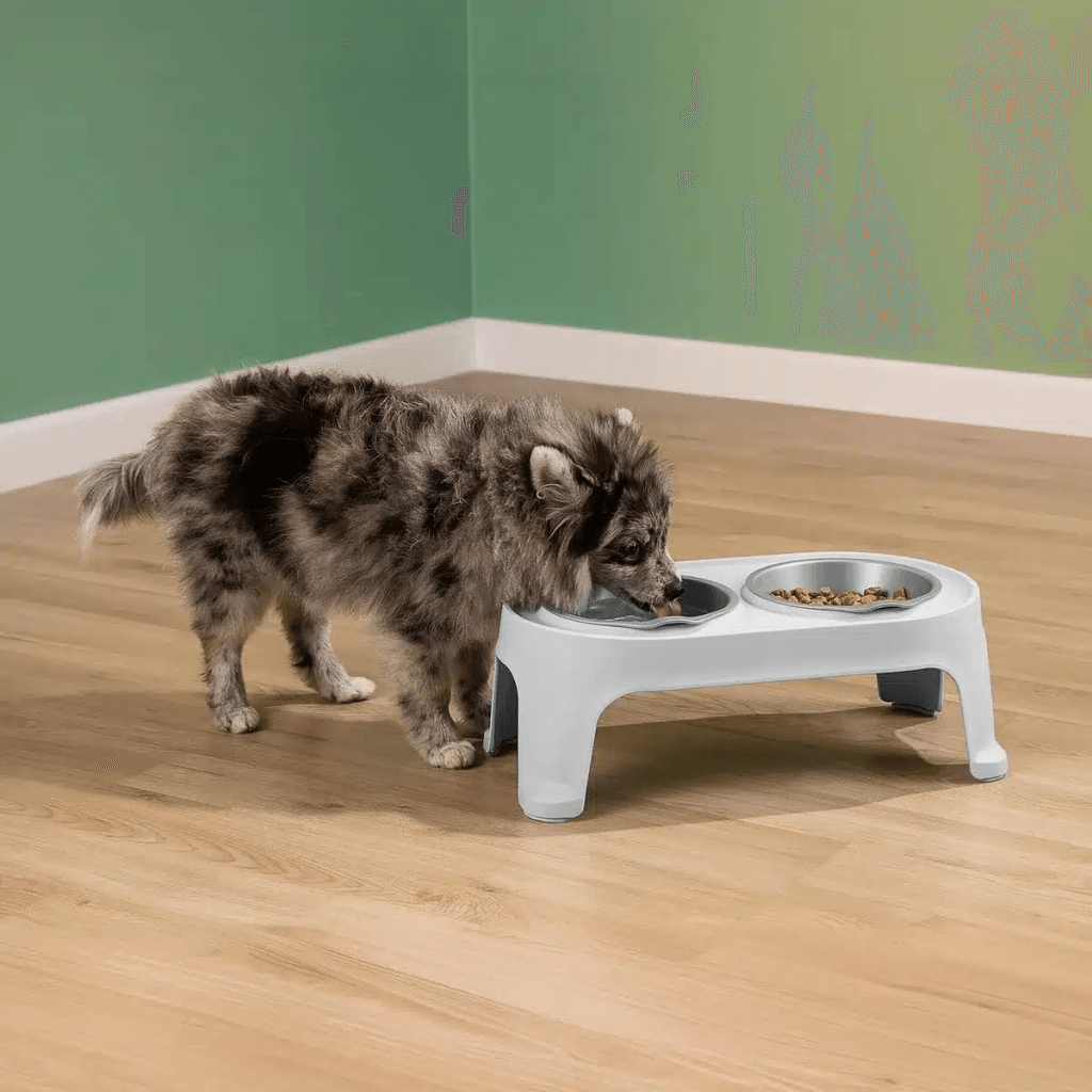 Comedero Alto para Perro Pequeño