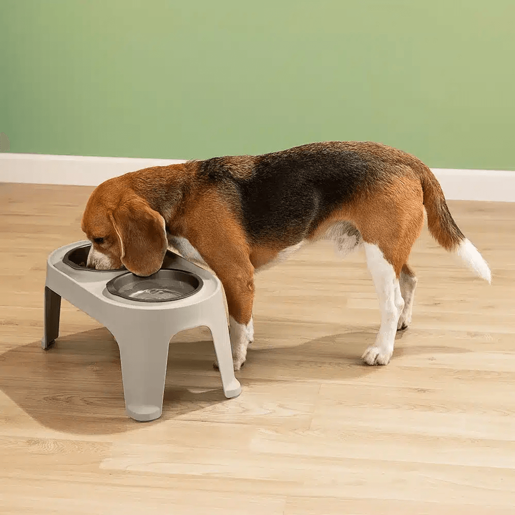 Comedero Alto para Perro Mediano-Grande Rimax