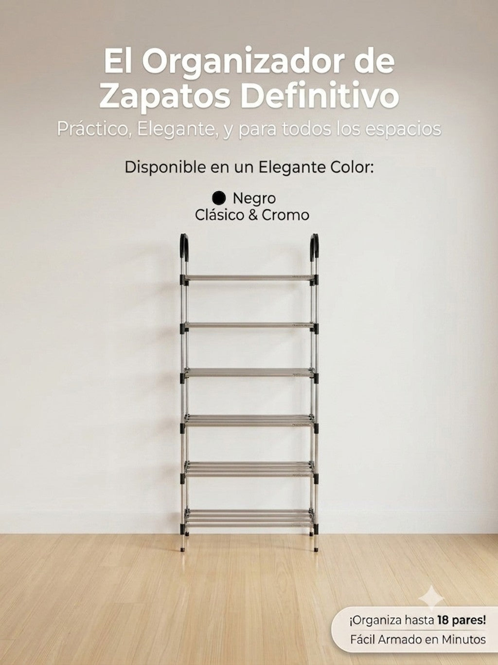 Organizador 6 Niveles