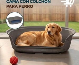 CAMA CON COLCHON PARA PERRO