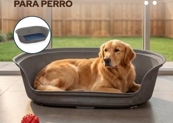 CAMA CON COLCHON PARA PERRO